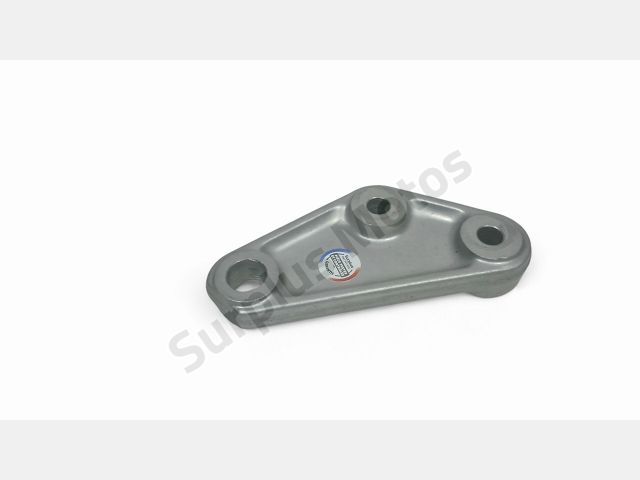 Support moteur occasion TRIUMPH TIGER 2006