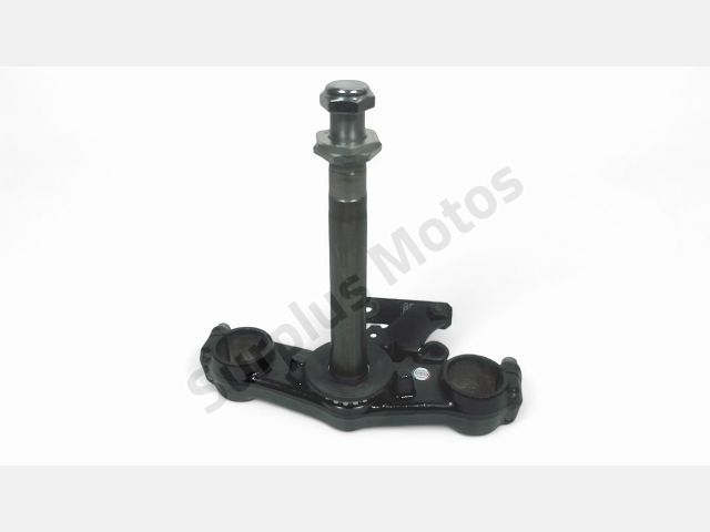 Te inferieur occasion TRIUMPH TIGER 2006