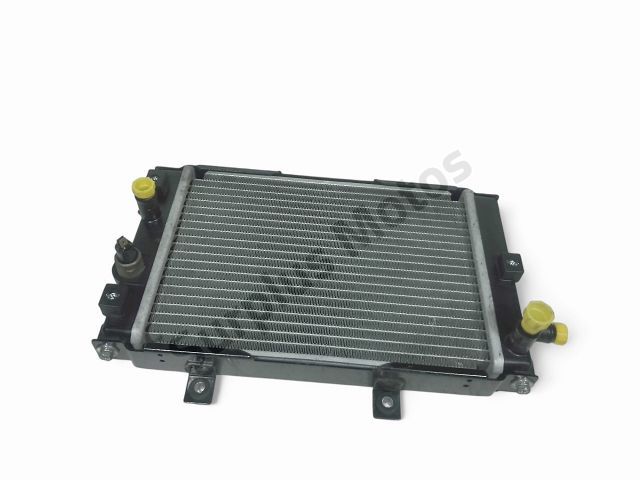 Radiateur eau occasion QUADRO 4 S 2017