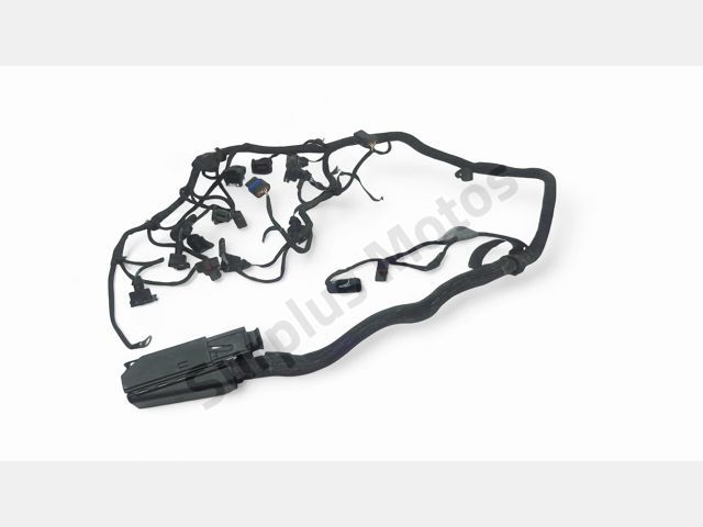 Faisceau moteur occasion BMW R 1250 GS 2007