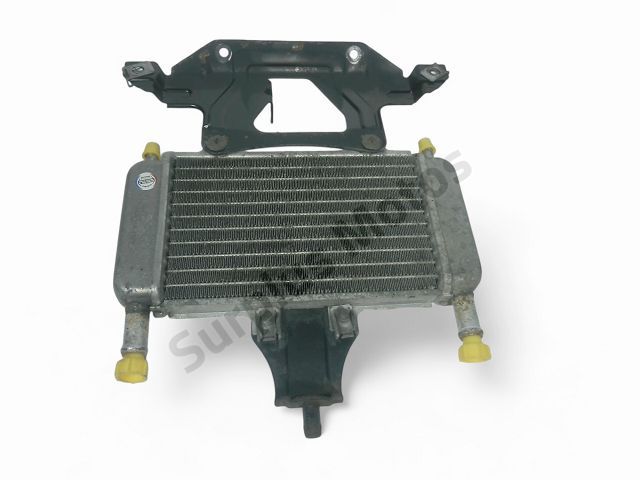 Radiateur eau occasion GILERA DNA 2000
