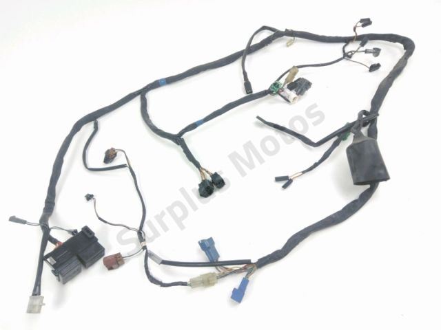 Faisceau electrique occasion SUZUKI GSF 600 BANDIT 2000