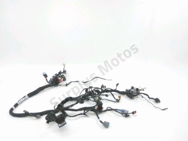 Faisceau electrique occasion KTM DUKE 890 2021