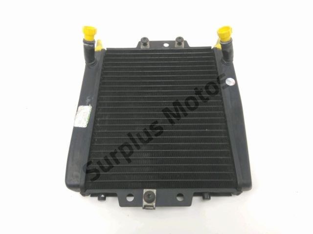 Radiateur eau occasion PIAGGIO MP3 500 2012