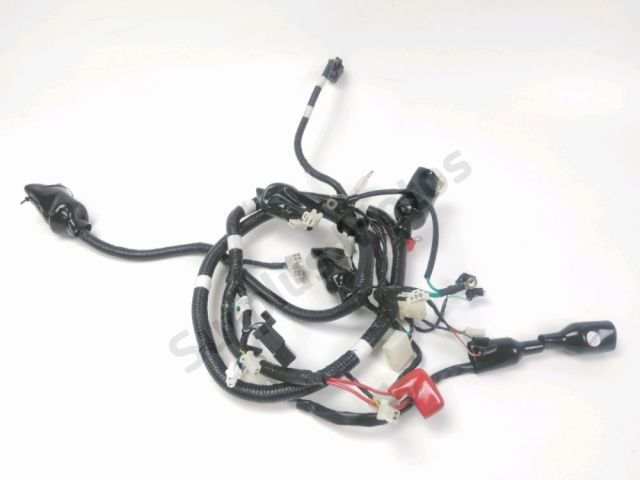 Faisceau electrique occasion ORCAL CAVARO 2024