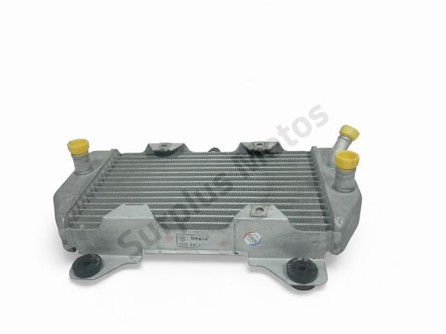 Radiateur eau occasion HONDA NSS 250 FORZA 2007