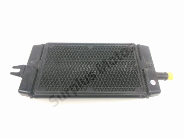 Radiateur eau occasion SUZUKI SV 650 2009