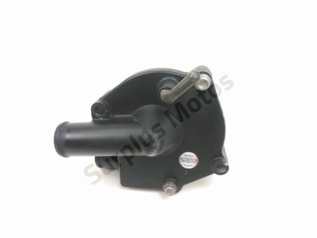 Pompe a eau occasion BENELLI LEONCINO 2019