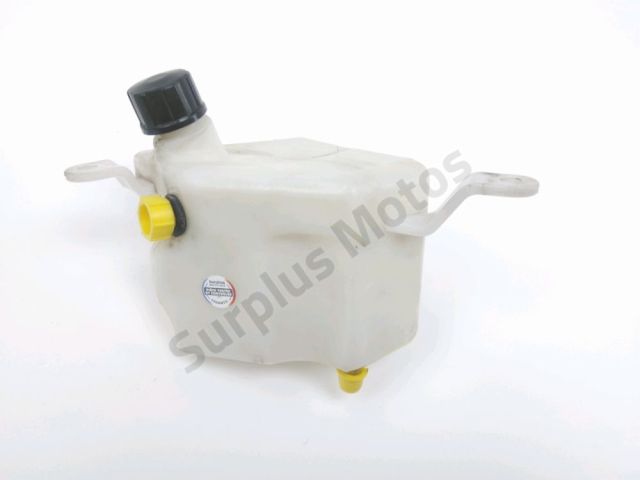 Vase expansion occasion BENELLI LEONCINO 2019