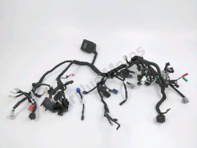 Faisceau electrique occasion KTM DUKE 125 2024