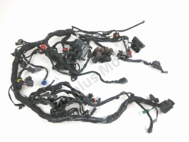 Faisceau electrique occasion TRIUMPH SPEED 2024