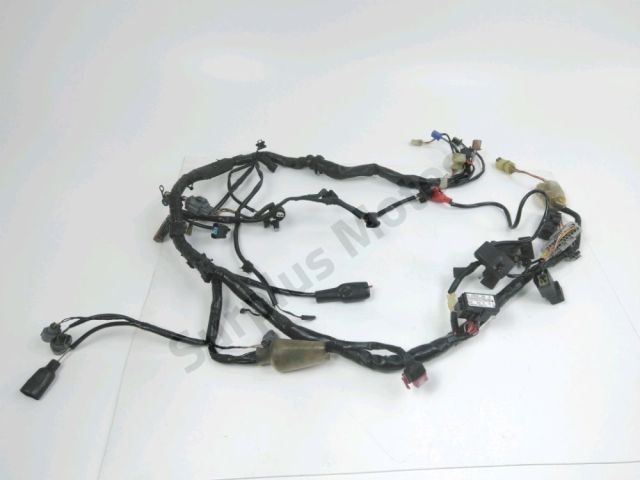 Faisceau electrique occasion HONDA CB 900 HORNET 2003