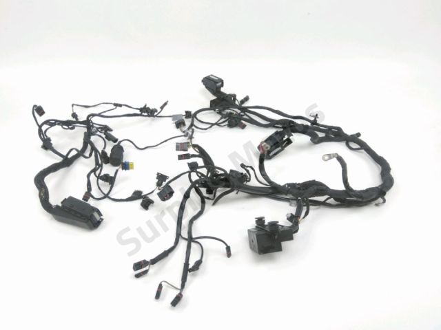 Faisceau electrique occasion BMW F 800 R 2010
