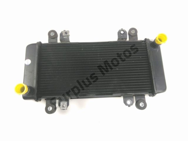 Radiateur eau occasion KAWASAKI Z 300 2015