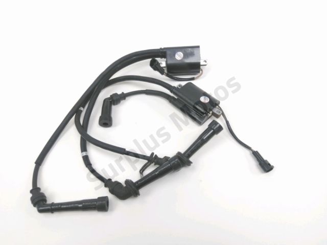 Bobine allumage occasion SUZUKI SFV 650 GLADIUS 2011