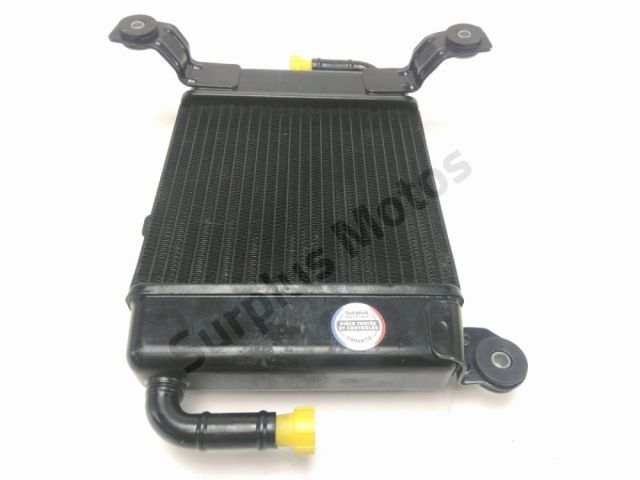 Radiateur eau occasion BMW CE 04 2022