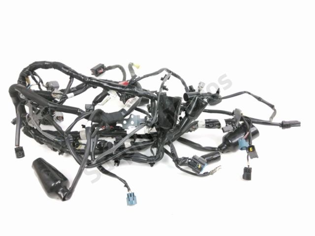 Faisceau electrique occasion KAWASAKI VERSYS 650 2022