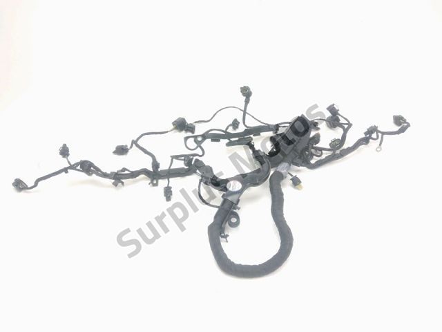 Faisceau moteur occasion BMW R 1250 RT 2019