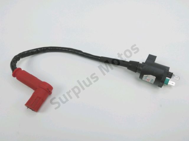 Bobine allumage occasion DAELIM VT 2002