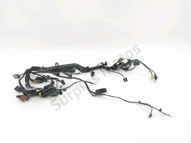 Faisceau electrique occasion TRIUMPH BONNEVILLE T 100  2020