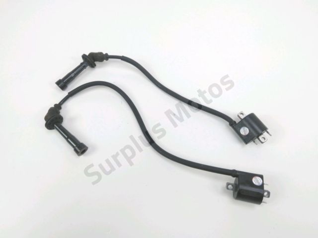 Bobine allumage occasion SUZUKI DL 1000 V-STROM 2002