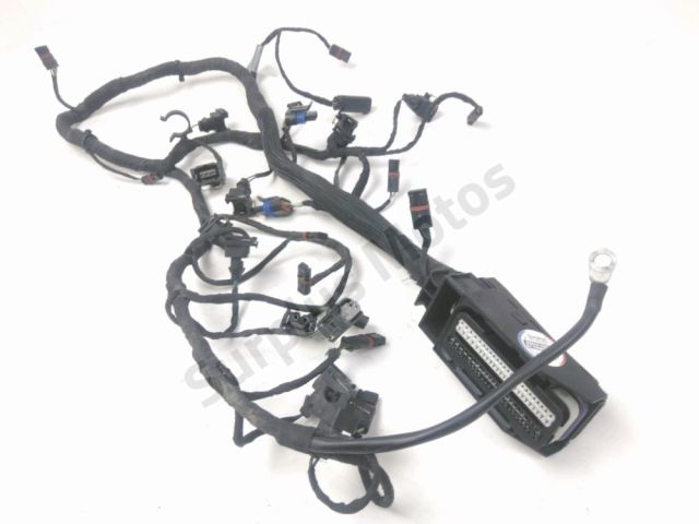 Faisceau moteur occasion BMW K 1200 R 2007