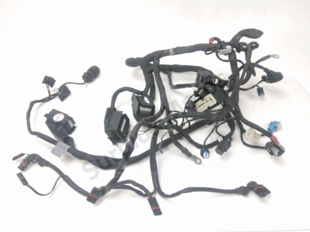 Faisceau electrique occasion BMW K 1200 R 2007