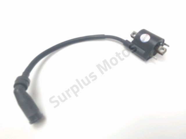 Bobine allumage occasion YAMAHA YBR 125 C 2009