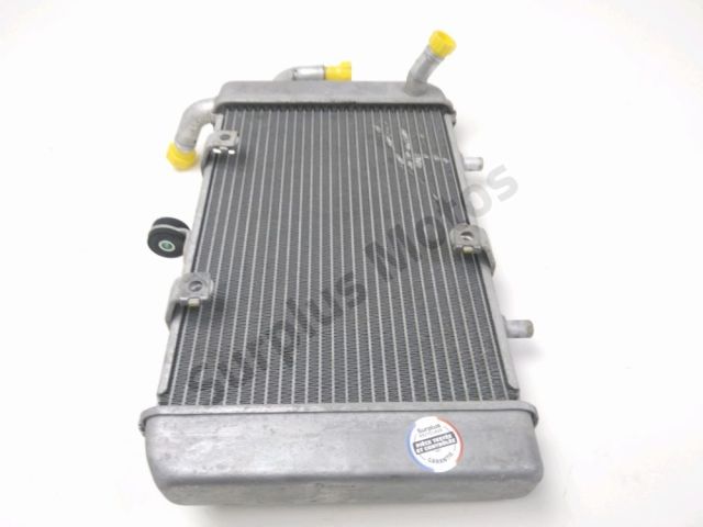 Radiateur eau occasion YAMAHA CZD 300 X-MAX 2018