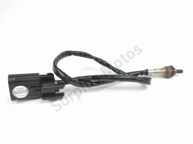 Sonde lambda occasion ARCHIVE MOTOR FIRST 50  2022