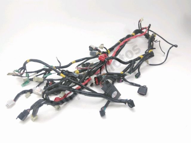 Faisceau electrique occasion QUADRO QV3 2018