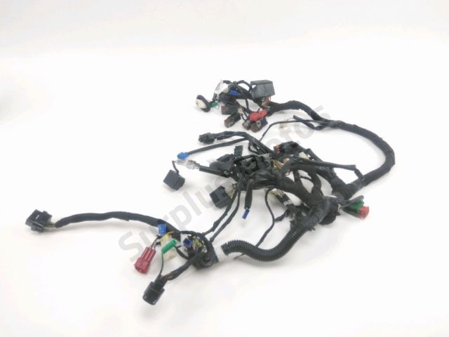 Faisceau electrique occasion KTM DUKE 125 2017