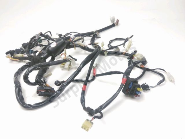 Faisceau electrique occasion APRILIA PEGASO 2005