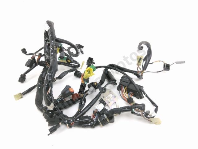 Faisceau electrique occasion SUZUKI SV 650 2008