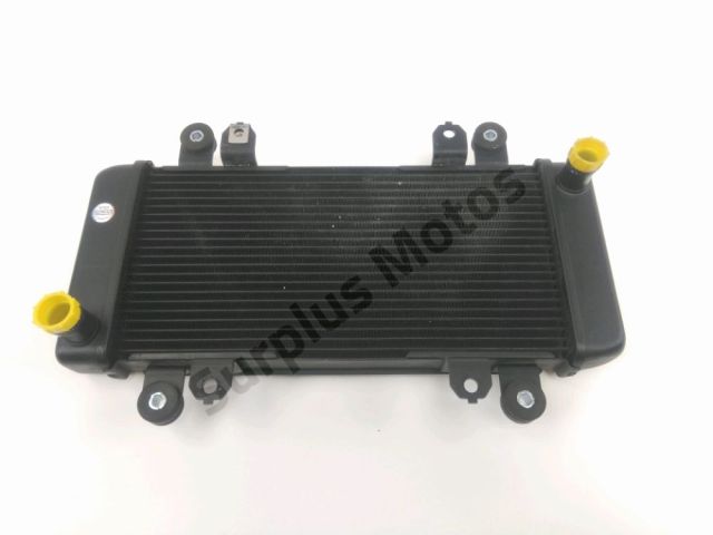Radiateur eau occasion KAWASAKI Z 300 2015