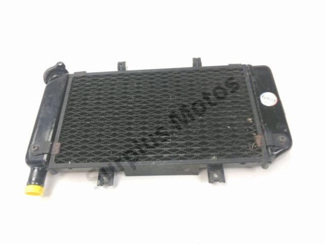 Radiateur eau occasion YAMAHA TDM 900 2009