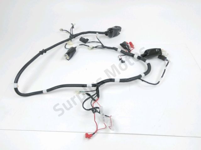 Faisceau electrique occasion LAZIO ANDREO 2023