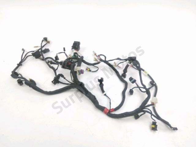 Faisceau electrique occasion DUCATI MONSTER 796 2013