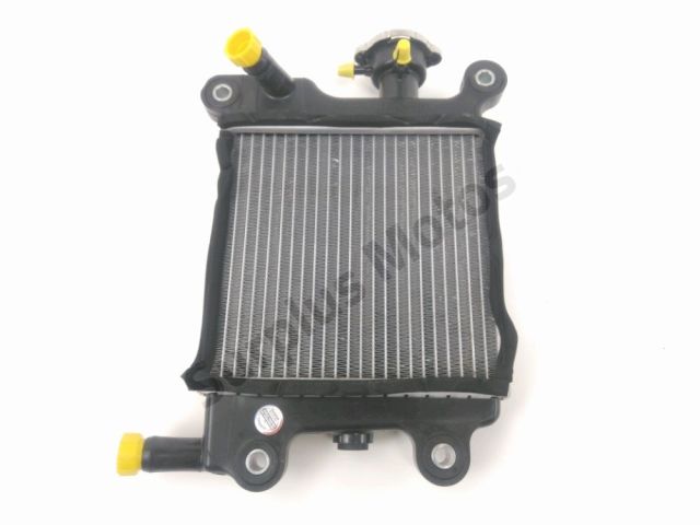 Radiateur eau occasion YAMAHA XC 125 MAJESTY 2015