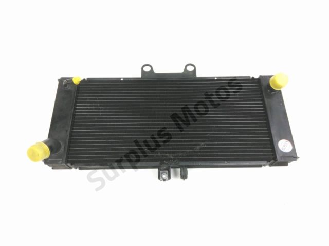Radiateur eau occasion SUZUKI GSX 650 F 2008