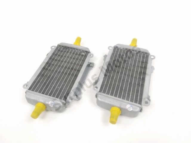 Radiateur eau occasion PIAGGIO GTS 2011