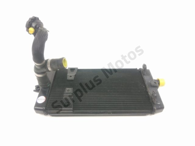 Radiateur eau occasion TRIUMPH THRUXTON 2018