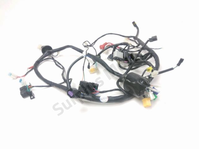 Faisceau electrique occasion MASH LEGEND R 2024