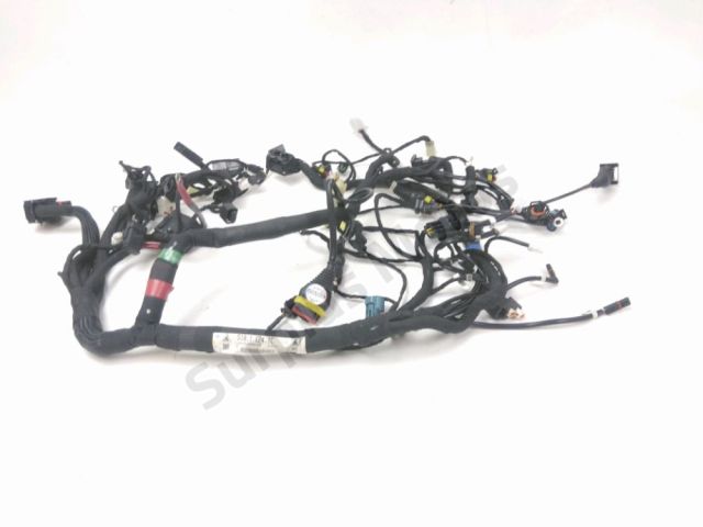 Faisceau electrique occasion DUCATI SCRAMBLER 800 2019