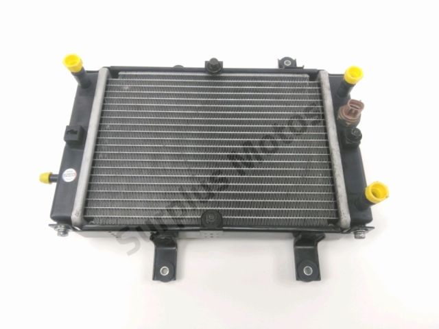 Radiateur eau occasion SYM GTS 2018