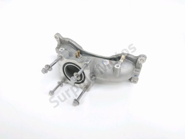 Pipe admission occasion TRIUMPH STREET TWIN 2023