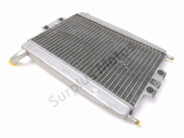 Radiateur eau occasion PIAGGIO X-EVO 125 2007
