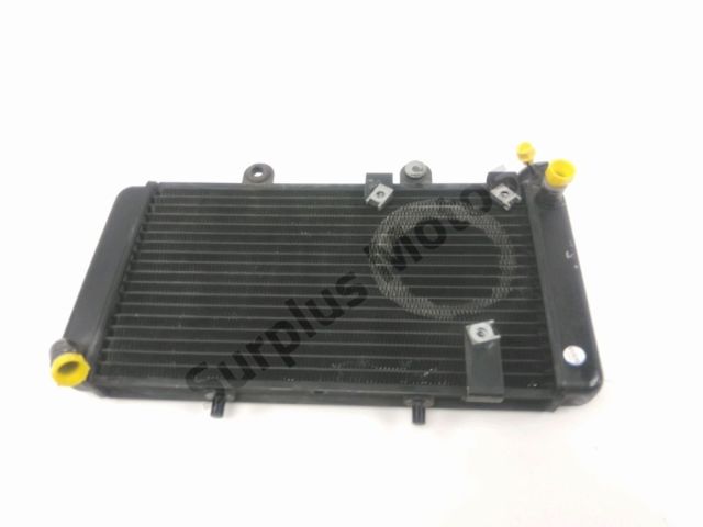 Radiateur eau occasion BMW F 650 ST 1997