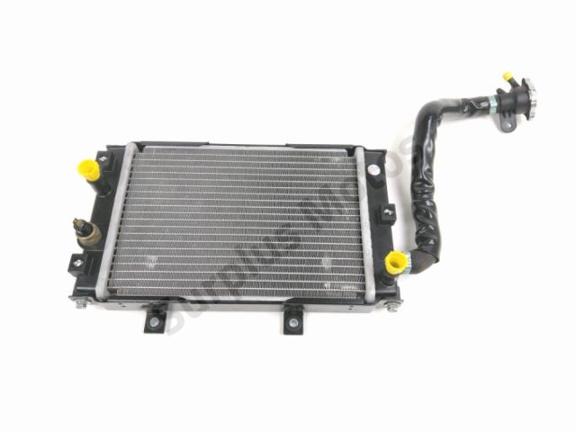 Radiateur eau occasion QUADRO QOODER 2018