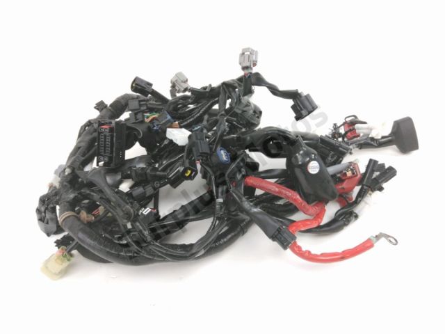 Faisceau electrique occasion YAMAHA MT-09 2023